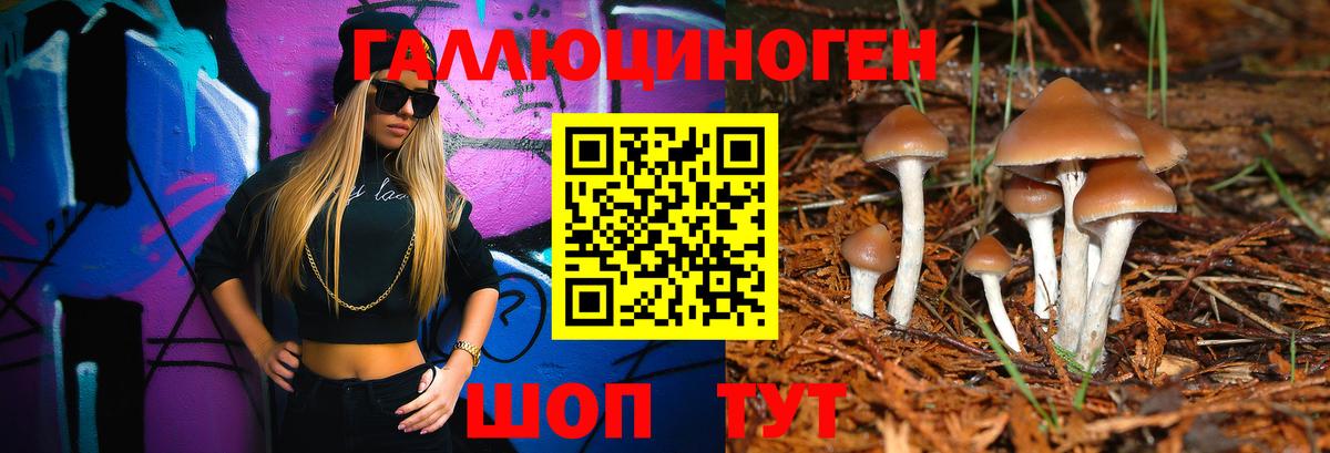 Галлюциногенные грибы мухоморы  Вход с VPN  Кандалакша 